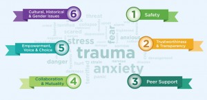 Trauma Informed Systems Banner